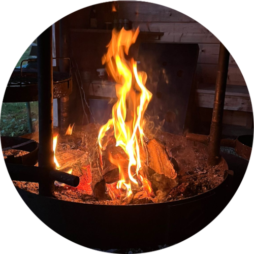 MottiHeikin metsäblogi